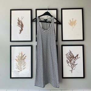 J Crew Navy/White Racerback Tank Dress Petite SM